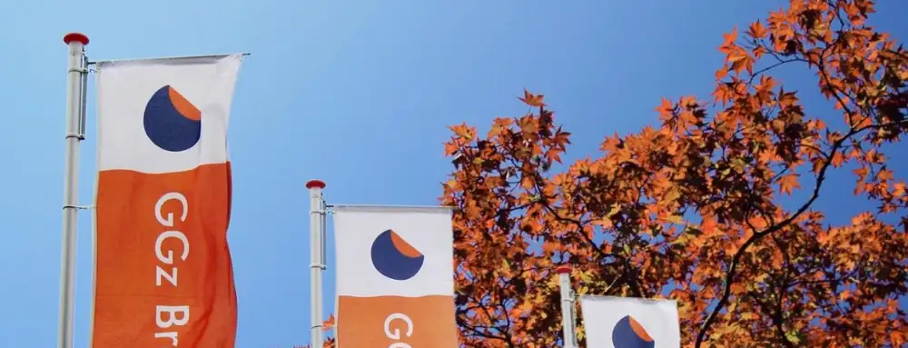 Vlaggen met het logo van GGz Breburg
